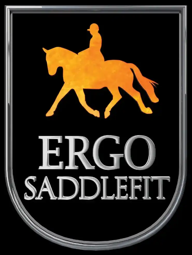 Ergo Saddlefit